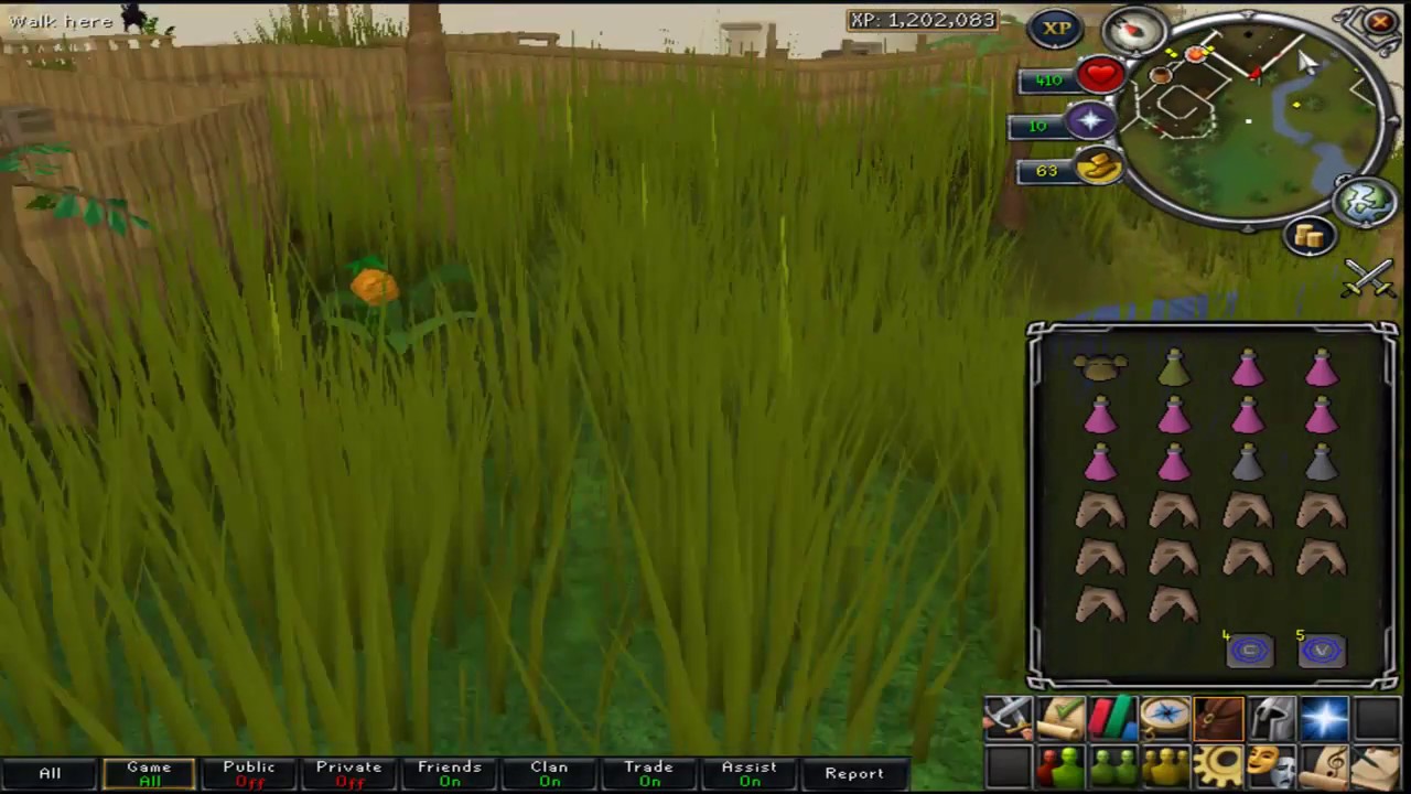 Monkey madness quest osrs